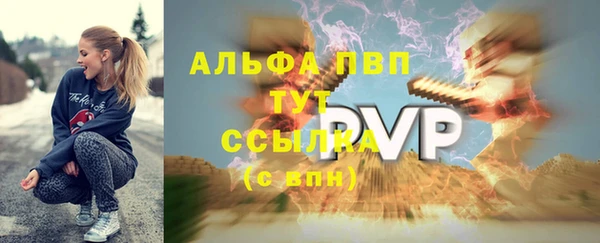 прущие грибы Белокуриха