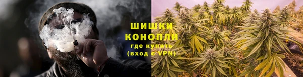 PSILOCYBIN Яровое