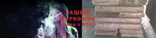 прущие грибы Белокуриха