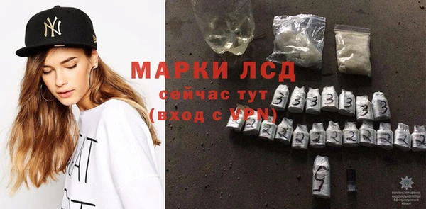 прущие грибы Белокуриха